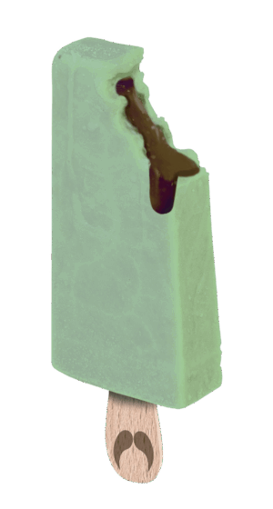 Menthe fourrée chocolat