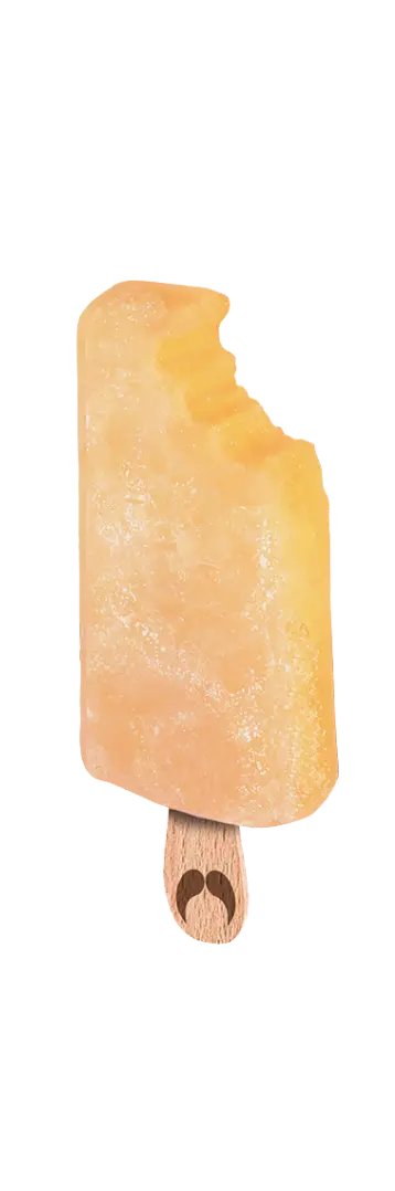 Pêche